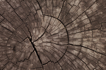 Fototapeta premium Old Wooden - Stock Image