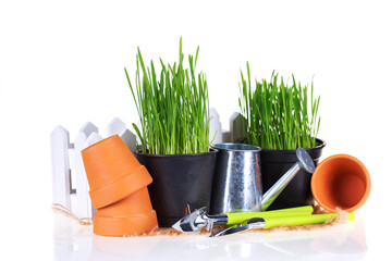 Green grass and garden tools