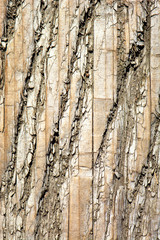 Distressed Wood Background