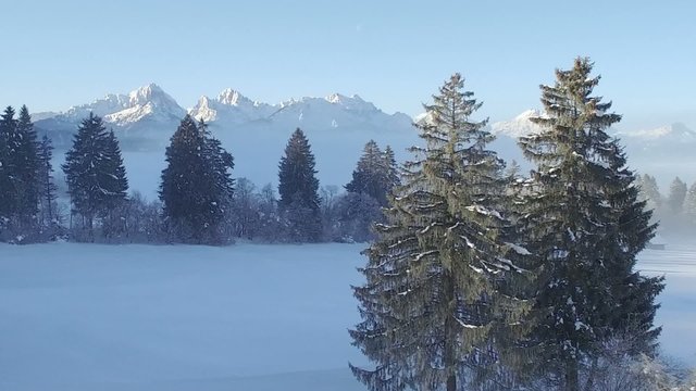 Luftaufnahme Berge mit Baum in Winterlandschaft