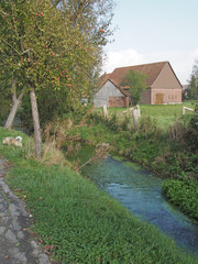 auf dem Lande