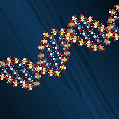 dna structure