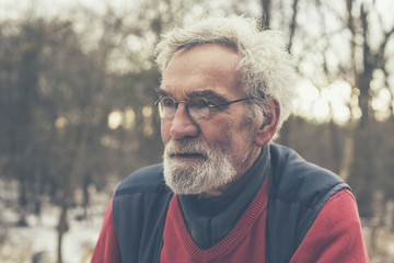 Old Man with Eyeglasses Looking Afar at the Woods