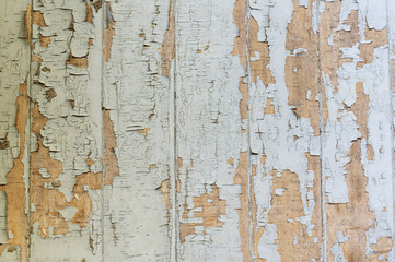Grunge old wood background