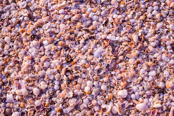 Sand background