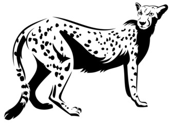 Cheetah outline