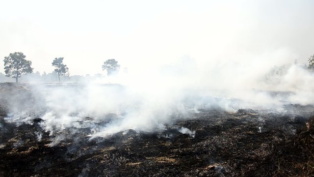 Smoke and flames occur from Stubble burning rice straw