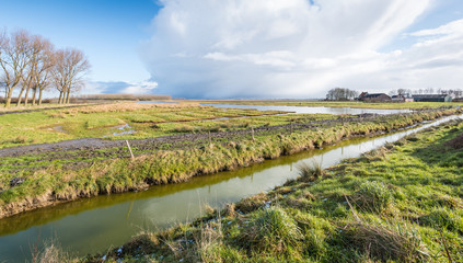 Rural landscape in the Netherlands