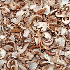 Gertocknete Steinpilze