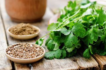 coriander