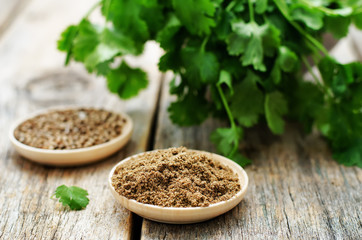 coriander