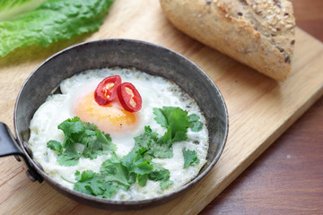 Fried egg with coriander chili and whole grain bun.