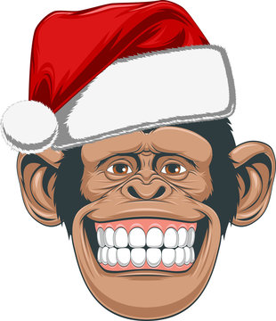 Head chimpanzee in a cap