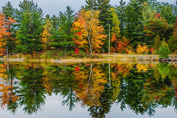 Fall Country Road Running by a Lake