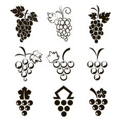 Set of 9 icons grapes