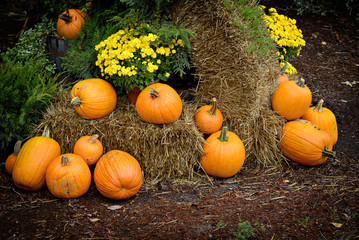 Pumpkins on Haystacks Decor