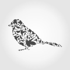 Birds9
