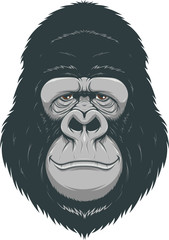 Happy monkey