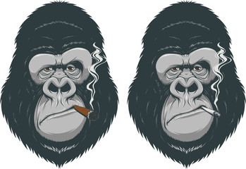 Monkey with a cigarette © Andrey1005