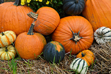 Autumn Outdoor Display