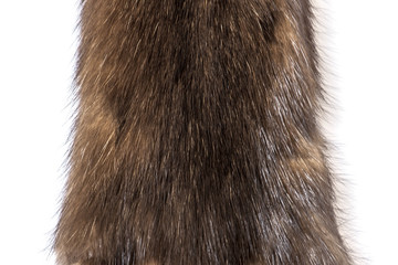 Skins of a sable