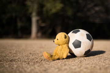サッカーボールと熊の縫い包み