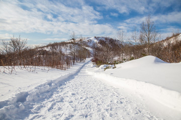 Fototapeta na wymiar Walkway on the snow road.