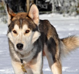 Jede Bewegung wird verfolgt.....