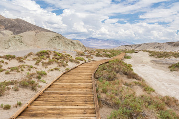 Boardwalk at Salt Creek in Death Valley National Park