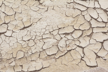 Dried salt at Salt Creek in Death Valley National Park  in the U