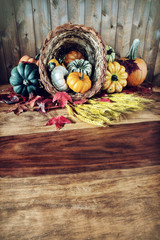 Cornucopia on Harvest Table