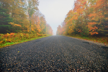Misty Rural Road Through Autumn Trees - 78158092