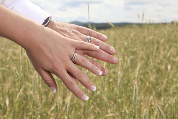 two hand with ring of new married couple with field on the backg