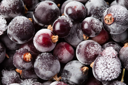 Frozen currant. blueberries. Closeup. Macro