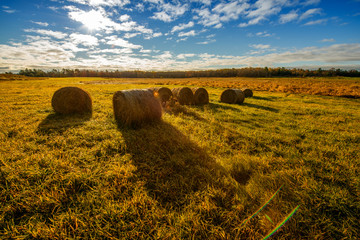 Bales of Hay in a Field - Wide angle - 78160409
