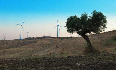 Fototapeta premium Mediterranean landscape