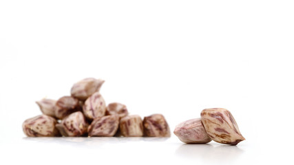 peanut isolated on white background