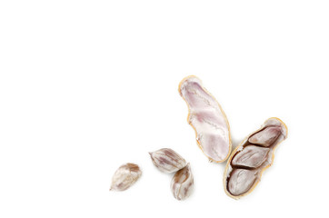 peanut isolated on white background