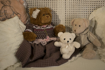 Teddy bear's family