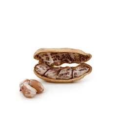 peanut isolated on white background