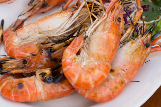 Close up of grilled  shrimps