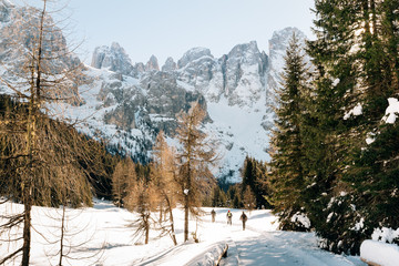 Dolomiti - hikers with snowshoes