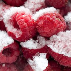 Frozen berries. Closeup. Macro. Raspberries. Raspberry.