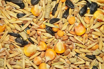 Zelfklevend Fotobehang Grains and Seeds © spyfox