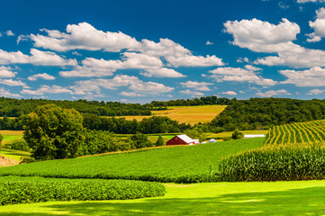 Farm fields and rolling hills in rural York County, Pennsylvania