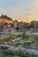 Fototapeta na wymiar Forum Romanum at Dusk