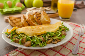Mushroom and Microgreen Omelet