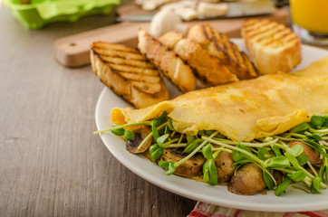 Mushroom and Microgreen Omelet