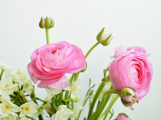 Fototapeta premium Flowers