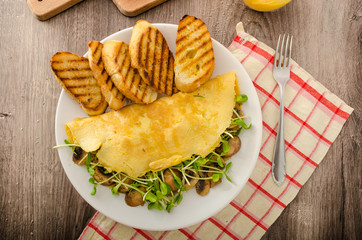 Mushroom and Microgreen Omelet